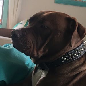 Meet your Posher, Fiona